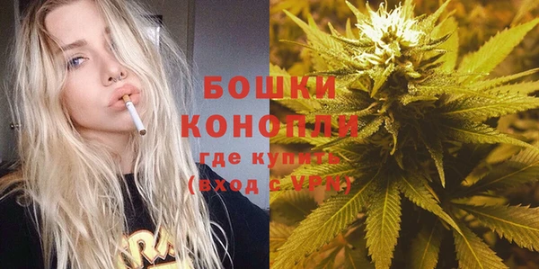 СК Волосово